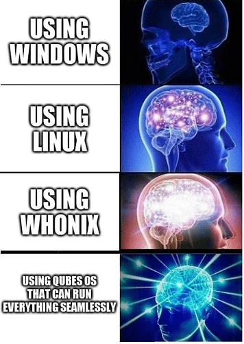 File:Brain levels with whonix meme.png