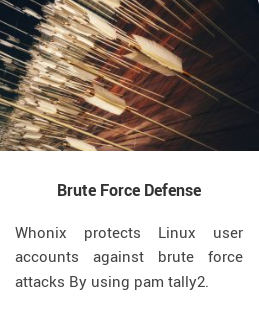 Brute Force Defense 1.png