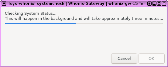 File:Systemcheckgui.png