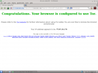 Torbrowser.png