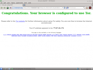 Torbrowser.png