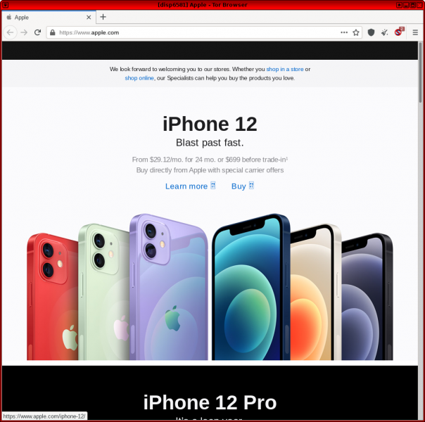 File:Realapplewebsite.png