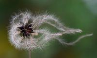 Multiplegateways131231.jpg