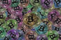 Bisq123123.jpg