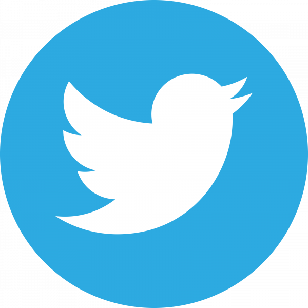 File:Twitter-logo.png