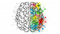 Thumbnail for version as of 13:14, 16 September 2022