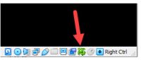 Green-turtle-icon-on-VirtualBox-Windows-11.jpg