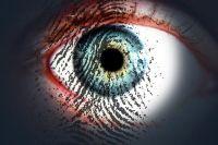 Eye-319668-640.jpg