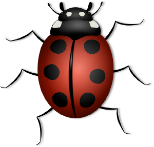 Ladybug-156624-640.png