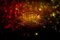 Drip-1037807-640.jpg