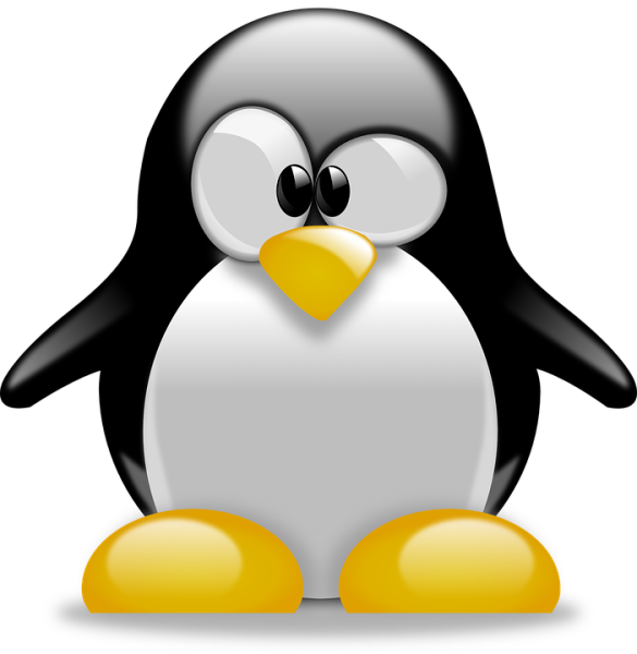 File:Donor-example-6.png