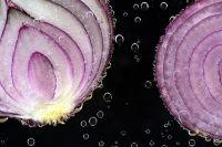 Onionrepository23234.jpg
