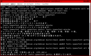 Anonwhonixjapanesefont.png